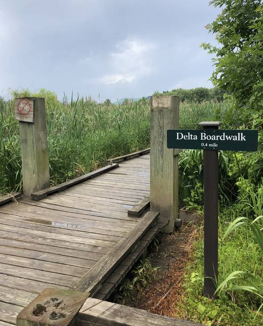 
			
				                                The Delta Boardwalk at Wildwood Park in Harrisburg, Pennsylvania, allows for a close look at the marsh.
 
			
		