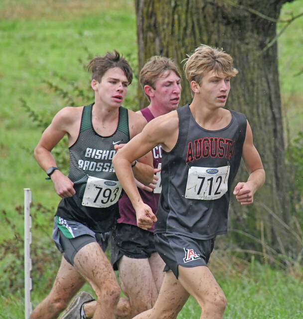 Area cross country preview | Ledger Independent – Maysville Online
