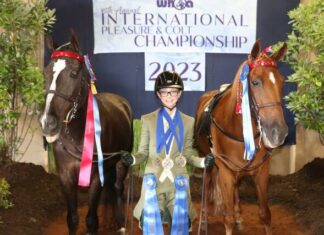 
			
				                                Ruth Collins at the International Pleasure and Colt Championship in 2023.
 
			
		